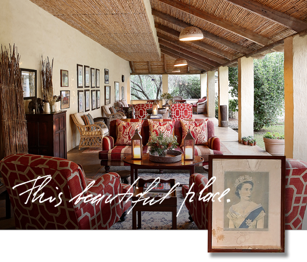 SLEEPING Elephant House