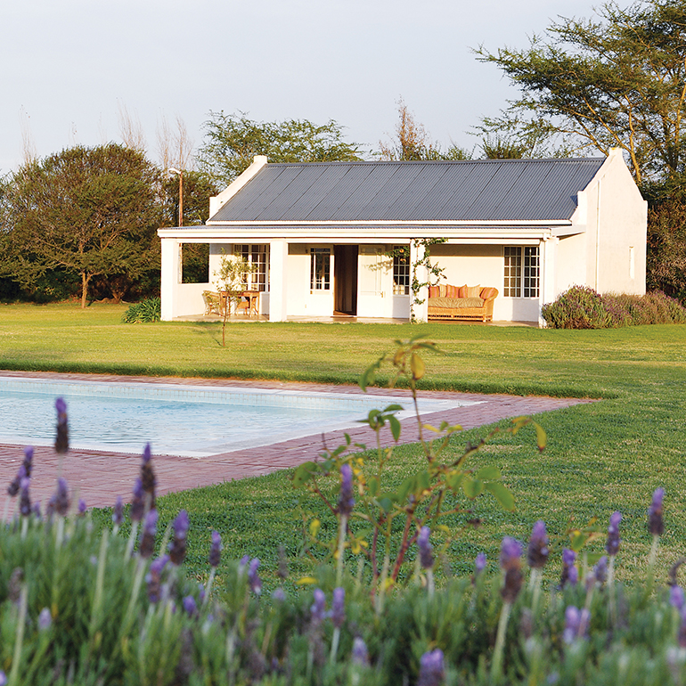 One of the Cape-style Stable Cottages photographed from across the swimming pool, photo by Elsa Young.